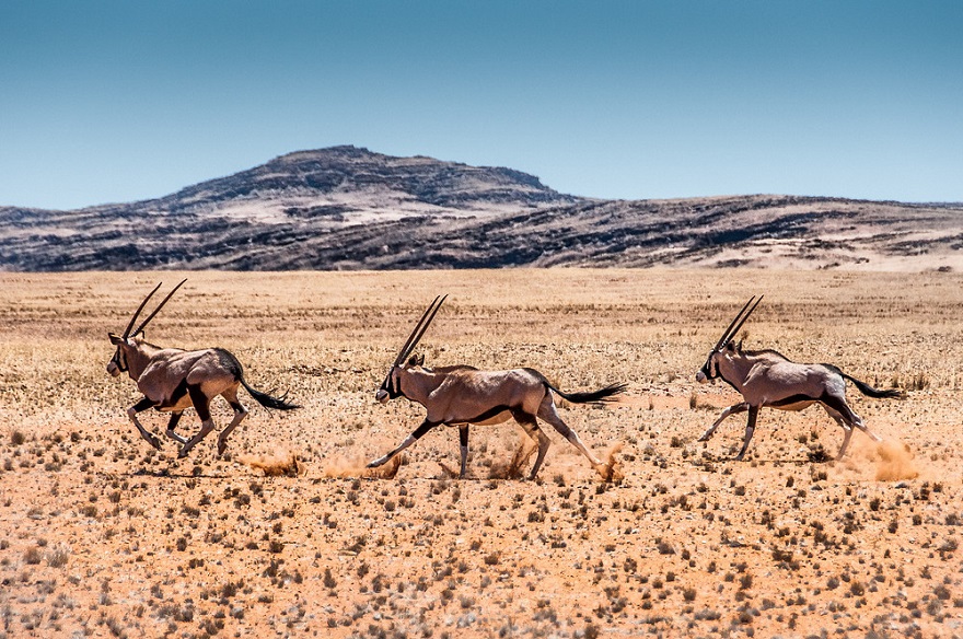 namib12