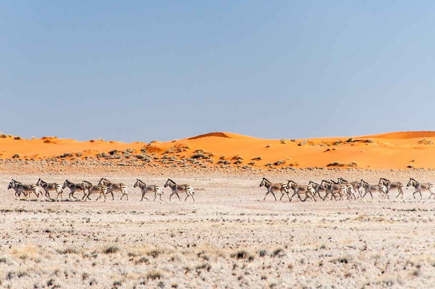 namib17